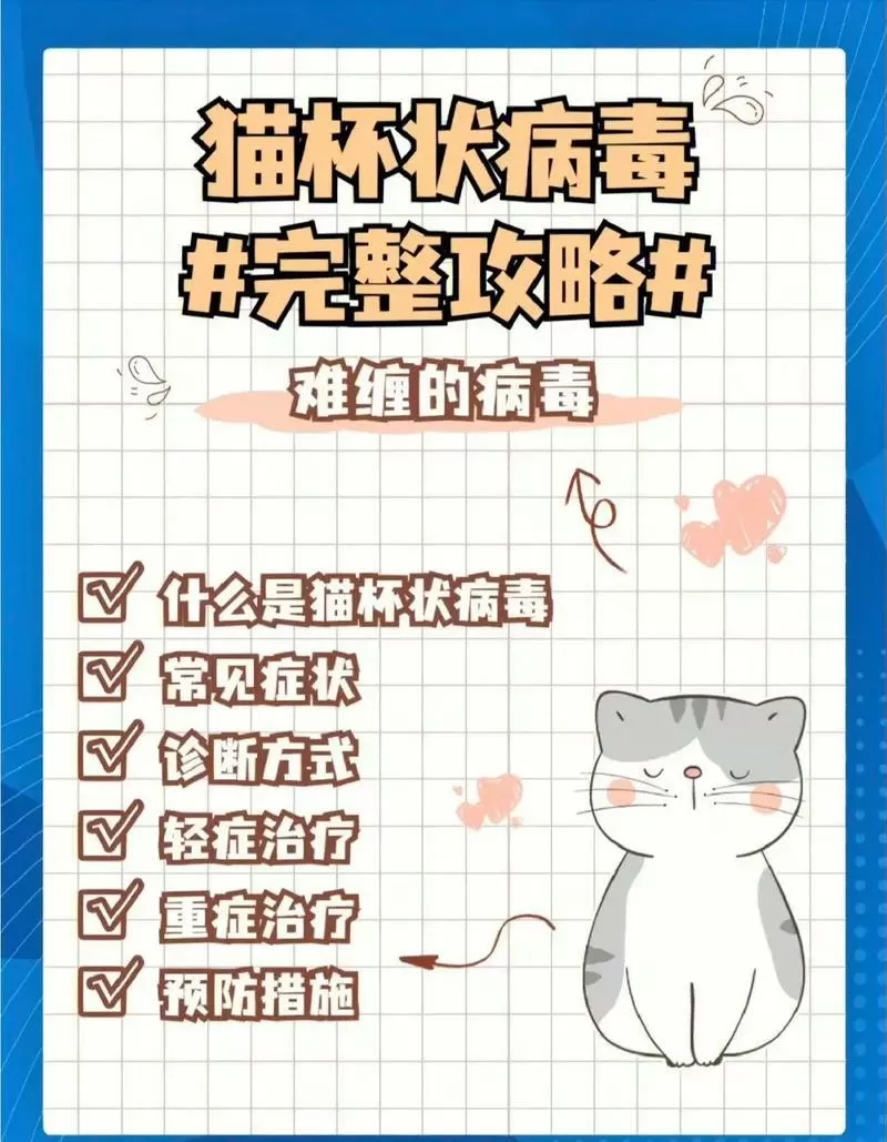 猫番阅读无病毒版