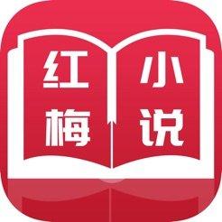 红梅资讯appv1.41