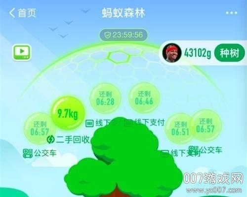 秋风蚂蚁森林辅助官方网站