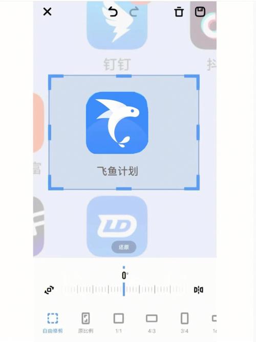 飞鱼接码app官方版