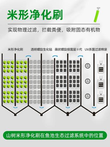 锦鲤刷刷能赚钱吗