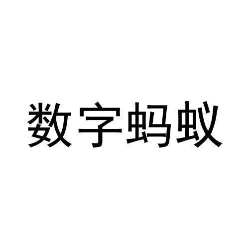 蚂蚁数字永不升级版