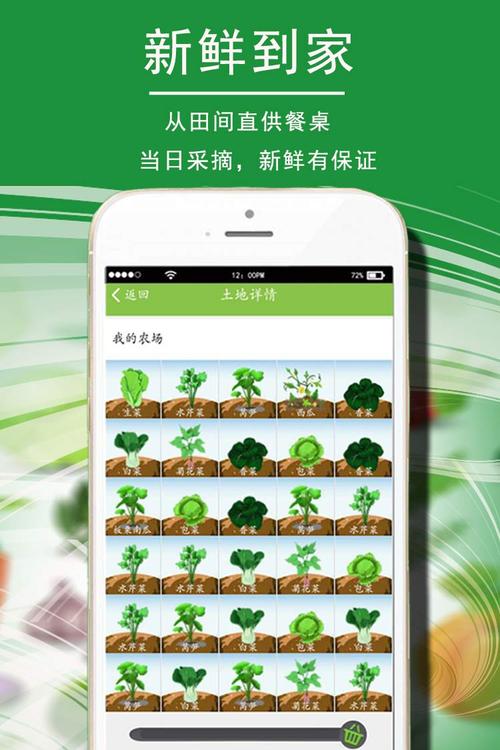 天天种菜app