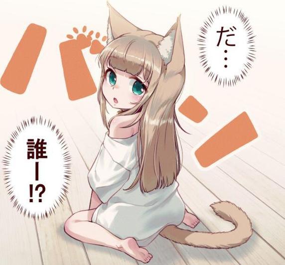 猫娘的触摸