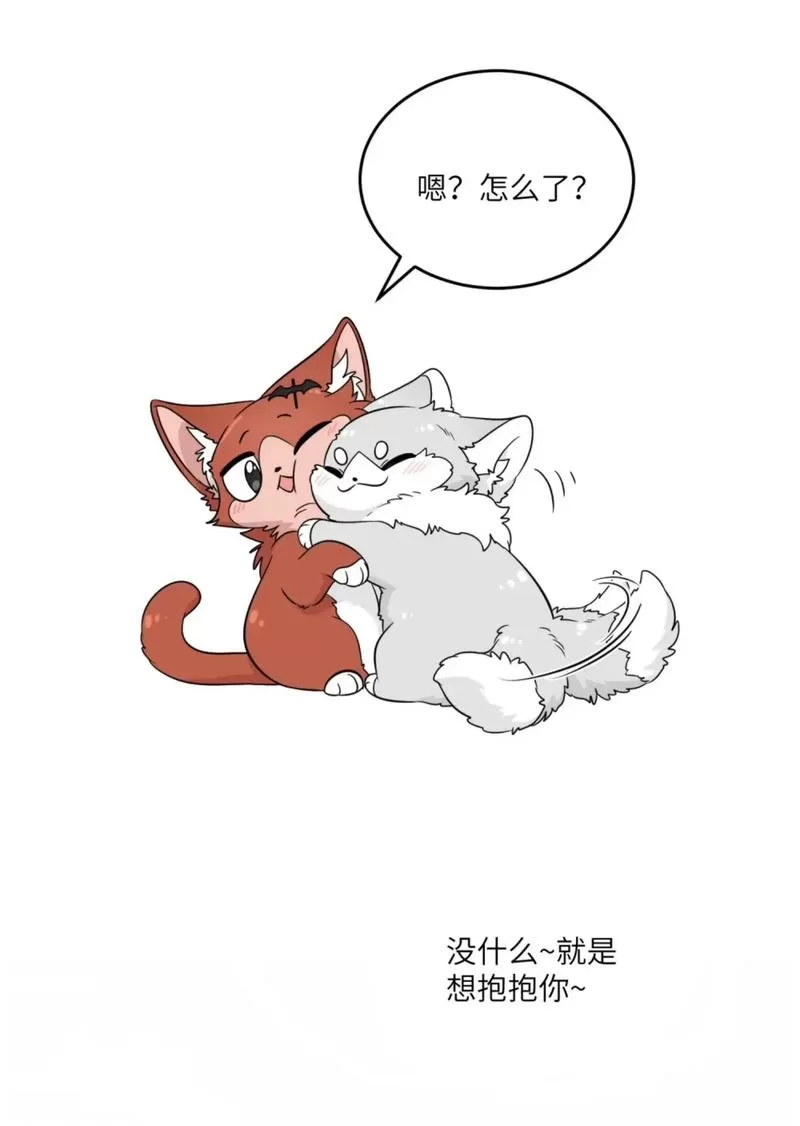 噼哩噼哩漫画破解