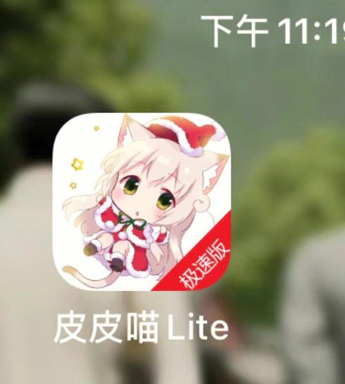 皮皮喵lite极速版