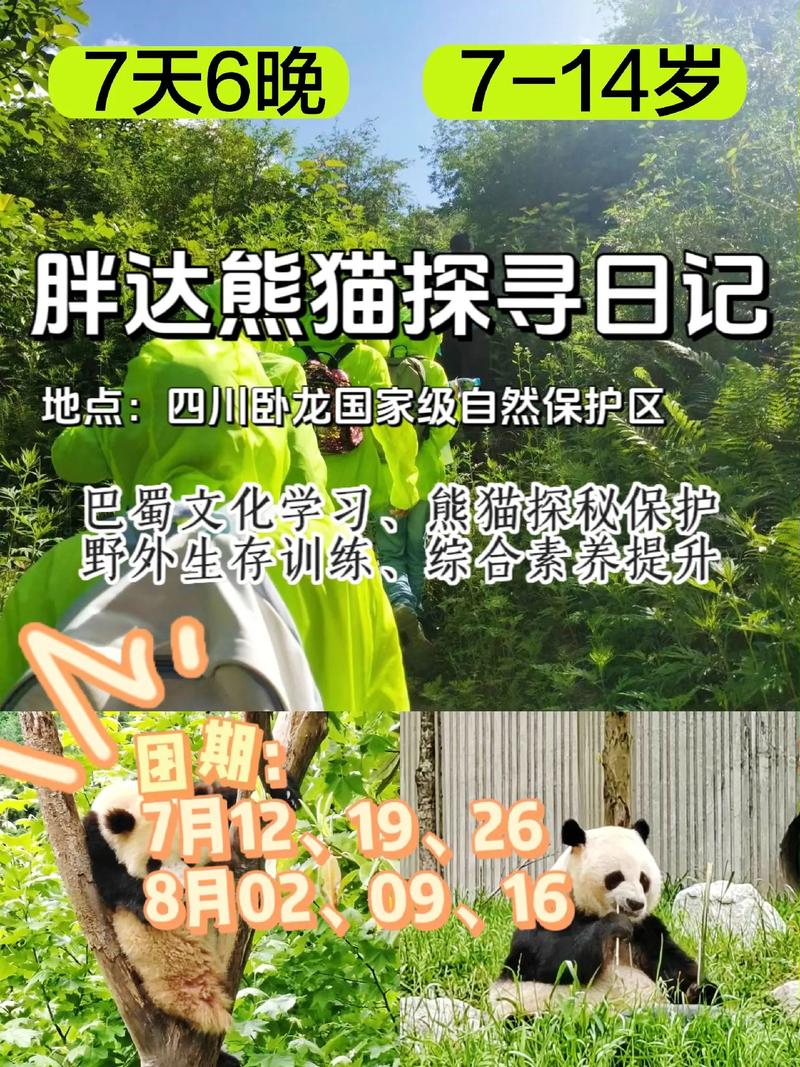 熊猫框架2023app