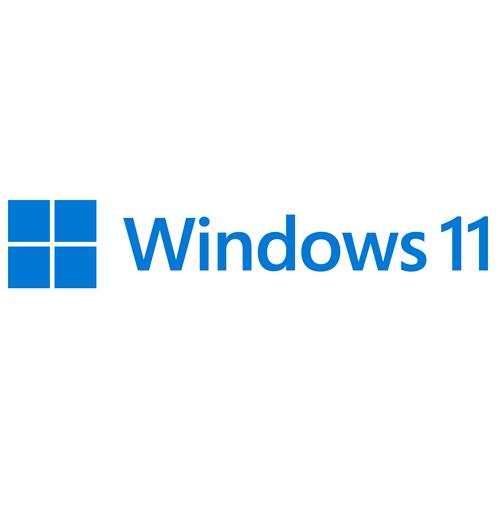 win11能不能安装office2010
