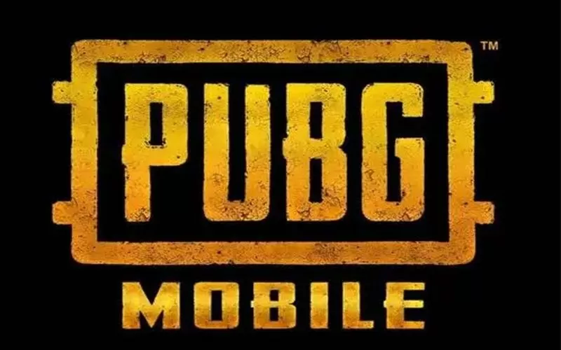 pubglite