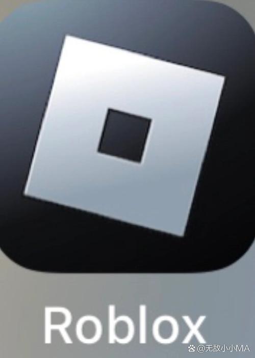 roblox注入器手机版